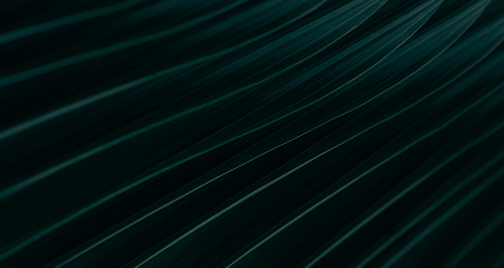 sustainability-hub-new